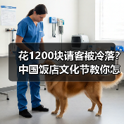 花1200块请客被冷落？中国饭店文化节教你怎么选对餐厅（图2）