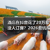 酒店在抖音花了20万却没人订房?2026避坑指南(图2) 酒店在抖音花了20万却没人订房?2026避坑指南(图2)