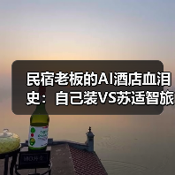 民宿老板的AI酒店血泪史:自己装VS苏适智旅,值不值?(图3) 民宿老板的AI酒店血泪史:自己装VS苏适智旅,值不值?(图3)