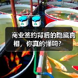 商业签约背后的隐藏真相,你真的懂吗?(图2) 商业签约背后的隐藏真相,你真的懂吗?(图2)