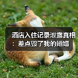 酒店入住记录泄露真相:差点毁了我的婚姻(图2) 酒店入住记录泄露真相:差点毁了我的婚姻(图2)