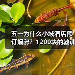 五一为什么小城酒店预订爆涨?1200块的教训告诉你真相(图1) 五一为什么小城酒店预订爆涨?1200块的教训告诉你真相(图1)