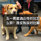五一高星酒店性价比怎么算?真实账目对比解析(图3) 五一高星酒店性价比怎么算?真实账目对比解析(图3)