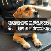 酒店增值税最新财税政策:我的酒店发票翻车血泪史(图3) 酒店增值税最新财税政策:我的酒店发票翻车血泪史(图3)
