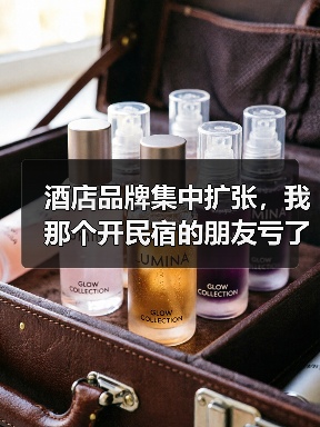 酒店品牌集中扩张,我那个开民宿的朋友亏了180万(图4) 酒店品牌集中扩张,我那个开民宿的朋友亏了180万(图4)