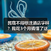 民宿不得标注酒店字样?我花3个月搞懂了这个新规(图2) 民宿不得标注酒店字样?我花3个月搞懂了这个新规(图2)