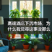 高端酒店下沉市场,为什么我觉得这事没那么简单?(图4) 高端酒店下沉市场,为什么我觉得这事没那么简单?(图4)