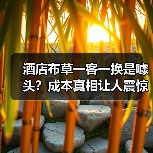 酒店布草一客一换是噱头?成本真相让人震惊(图3) 酒店布草一客一换是噱头?成本真相让人震惊(图3)
