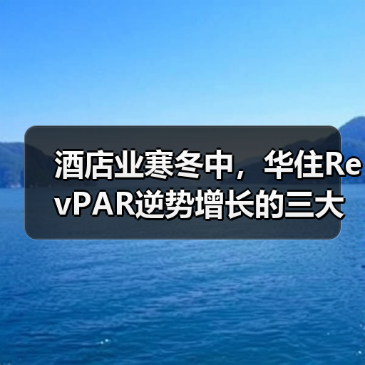 酒店业寒冬中，华住RevPAR逆势增长的三大关键策略（图4）
