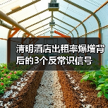 清明酒店出租率爆增背后的3个反常识信号(图2) 清明酒店出租率爆增背后的3个反常识信号(图2)
