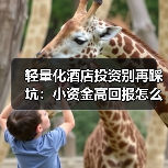 轻量化酒店投资别再踩坑：小资金高回报怎么玩？（图1）