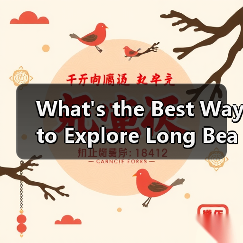 What's the Best Way to Explore Long Beach Island as an LGBTQ+ Traveler?(图4) What's the Best Way to Explore Long Beach Island as an LGBTQ+ Traveler?(图4)