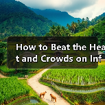 How to Beat the Heat and Crowds on Info Mountain This Summer? A Complete Practical Guide（图2）