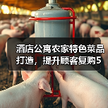 酒店公寓农家特色菜品打造,提升顾客复购5大方法(图4) 酒店公寓农家特色菜品打造,提升顾客复购5大方法(图4)