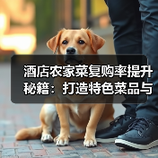 酒店农家菜复购率提升秘籍：打造特色菜品与顾客留存5法（图1）
